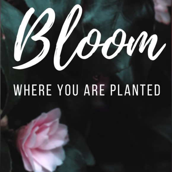 🌸🌸Hello Spring!🌸🌸 - Picture 6 of 6